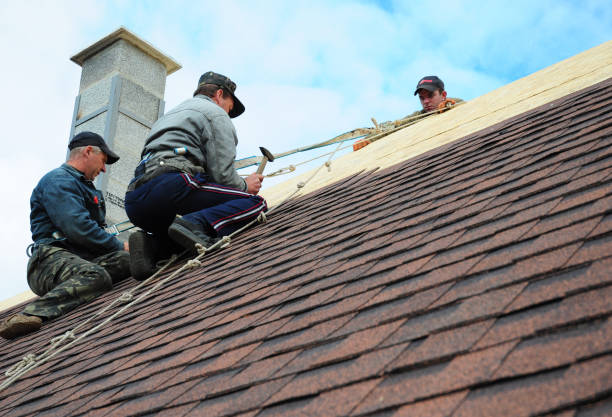 Best Roof Gutter Cleaning  in Irving, TX